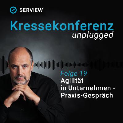 Agilität in Unternehmen - Ein Praxis-Gespräch [019]