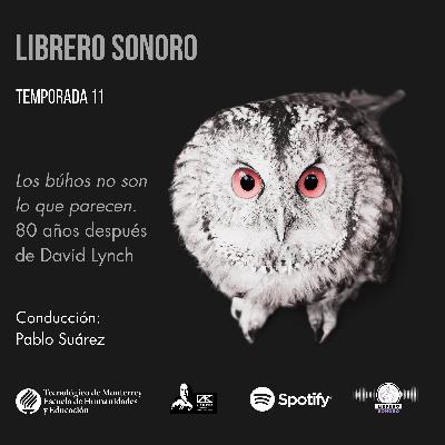 🦉🎬 Los búhos no son lo que parecen 🦉🎬 Los búhos no son lo que parecen