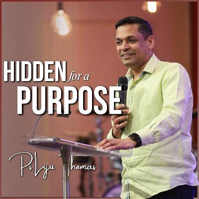 Hidden For A Purpose