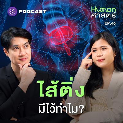 HMS46 ไส้ติ่ง ตัดทิ้งได้ แต่เก็บไว้ก็ดี?