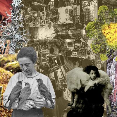 Kerpė, šuo, žmogus – draugų beieškant Kerpė, šuo, žmogus – draugų beieškant