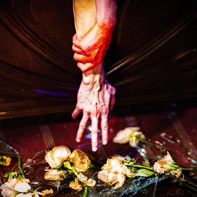 当我们在看电影时我们在看什么:《狂野时代》 当我们在看电影时我们在看什么:《狂野时代》