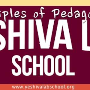YLS Principles of Pedagogy, Episode 16 - Review YLS Principles of Pedagogy, Episode 16 - Review