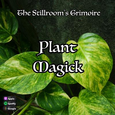 Plant Magick