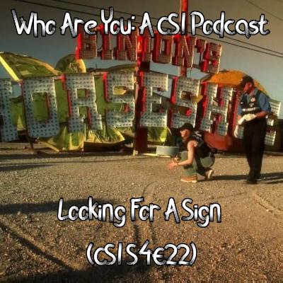 Looking for a Sign (CSI S4E22)