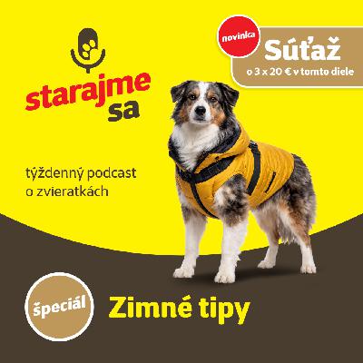 Špeciál: Zimné tipy