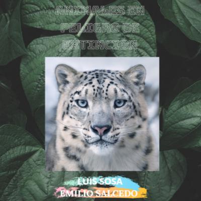 Vida salvaje Especies en peligro de extinción