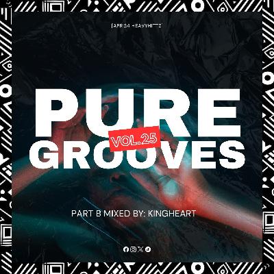 Pure Grooves Vol.25 [Part B] Mixed By.Kingheart [Apr'24 Heavyhittz]