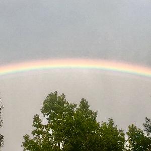 Promise, Your Word, Resolution and Vows