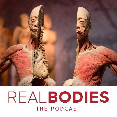 REAL BODIES PODCAST - EPISODE 3 - PROF. DR. PIET HOEBEKE (Uroloog)