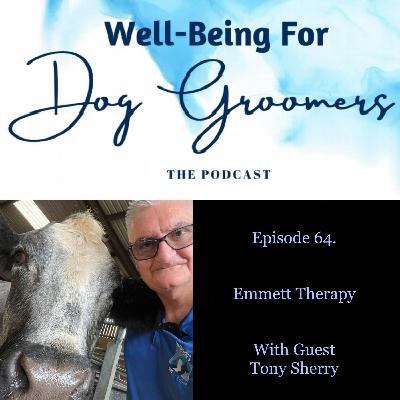 Episode 64 - Tony Sherry - Emmett Therapy