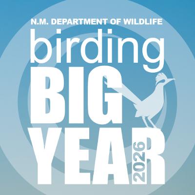 Episode 41: 2026 NM Birding Big Year! Episode 41: 2026 NM Birding Big Year!