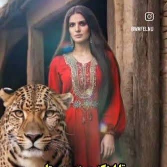 مینا و پلنگ