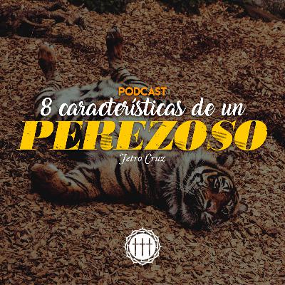 8 características de un perezoso.