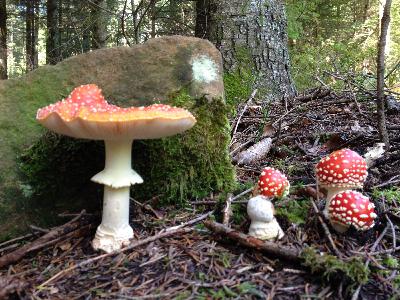 AI and Relationships, Part 1: Into the Woods