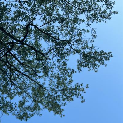 Zlý deň a.k.a. deň blbec Zlý deň a.k.a. deň blbec