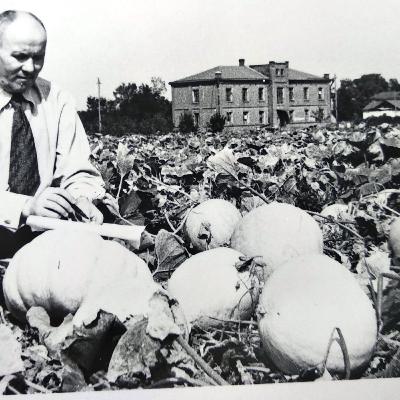 Полтавська дослідна станція: 140 років науки. Беззмінне жито, музей та сучасні виклики