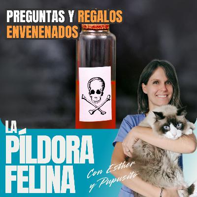 563. Preguntas y REGALOS ENVENENADOS 563. Preguntas y REGALOS ENVENENADOS