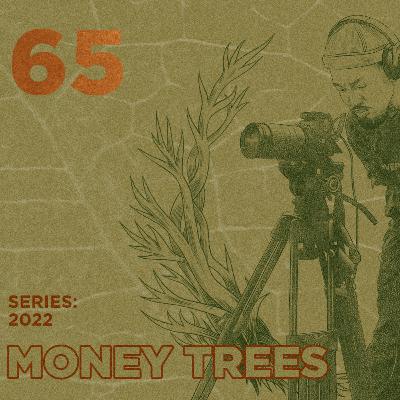 Money Trees #65 - Ibraheem Leone Money Trees #65 - Ibraheem Leone