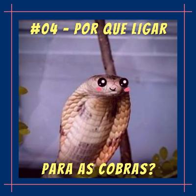 #04 - Por que ligar para as cobras? #04 - Por que ligar para as cobras?