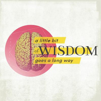 A Little Bit of Wisdom Goes a Long Way - Week 2