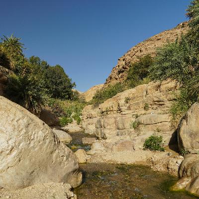 How God Meets Needs | Exodus 15-17