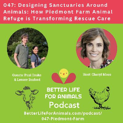 047: Designing Sanctuaries Around Animals: How Piedmont Farm Animal Refuge is Transforming Rescue Care 047: Designing Sanctuaries Around Animals: How Piedmont Farm Animal Refuge is Transforming Rescue Care