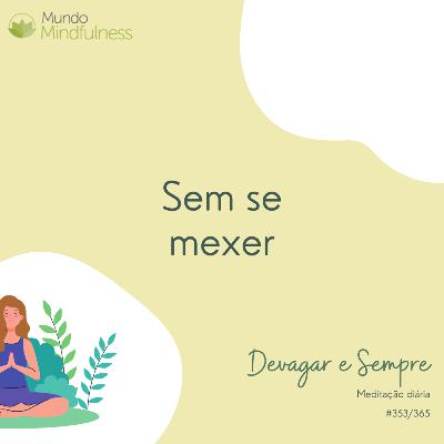 "Devagar e Sempre" - 353 de 365 - Sem se mexer