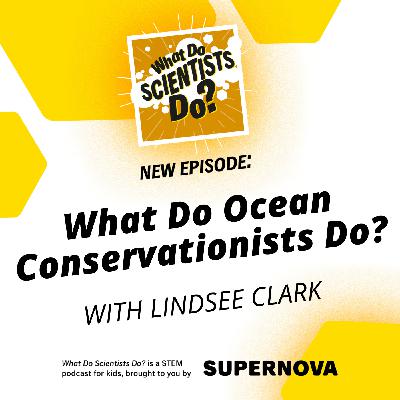 Coastal conservation: Diving into ocean conservation with Lindsee Clark