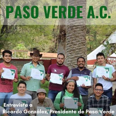 PASO Verde