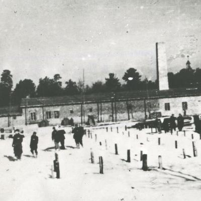 "On Auschwitz" (56): Holocaust denial - strategies of lies and distortion