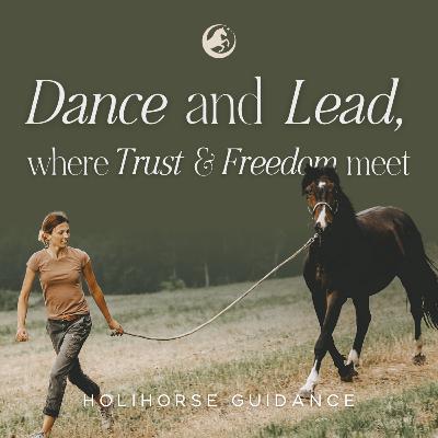 HoliHorse Guidance - die Philosophie im Interview mit Christina Schirmer HoliHorse Guidance - die Philosophie im Interview mit Christina Schirmer