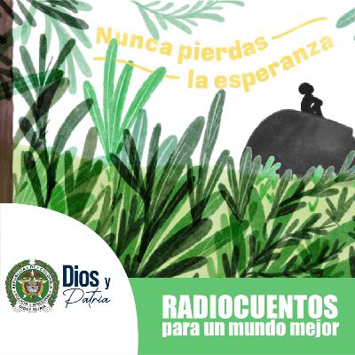 Nunca pierdas la esperanza