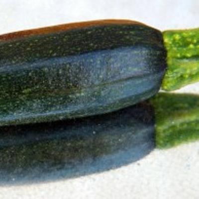 ズッキーニのチカラ ズッキーニのチカラ