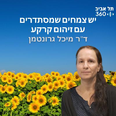 יש צמחים שמסתדרים עם זיהום קרקע יש צמחים שמסתדרים עם זיהום קרקע