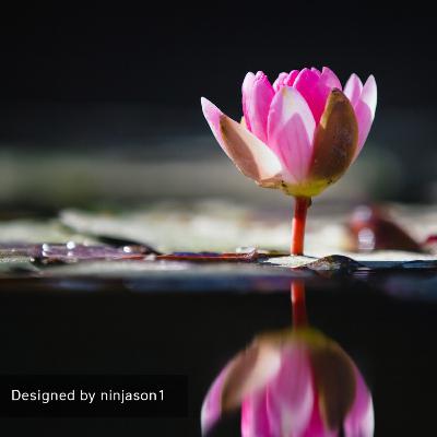Heal from the Inside Out Series #36: My mama told me, "What is for Me, I Will Get & I Believed Her."