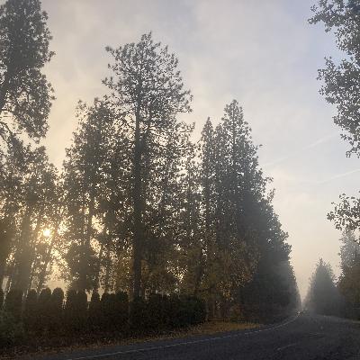 1.238🎵Read my Mind cover