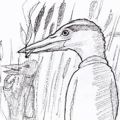 12. Dezember 12. Dezember