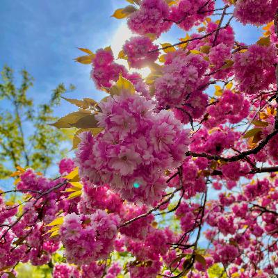 Episode#008: heart-warming/暖心(nuǎnxīn) Episode#008: heart-warming/暖心(nuǎnxīn)