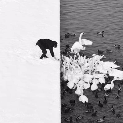 Ahlakın Bilimdeki Rolü Ahlakın Bilimdeki Rolü