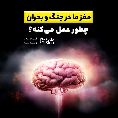 مغز ما در جنگ و بحران چطور عمل میکند؟
