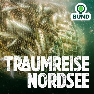 Kapitel 5 l Der Mensch und das Meer Kapitel 5 l Der Mensch und das Meer