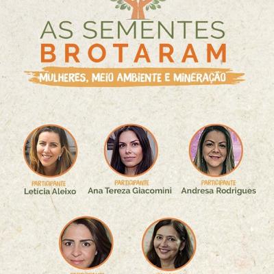 Debate "Mulheres, meio ambiente e mineração"
