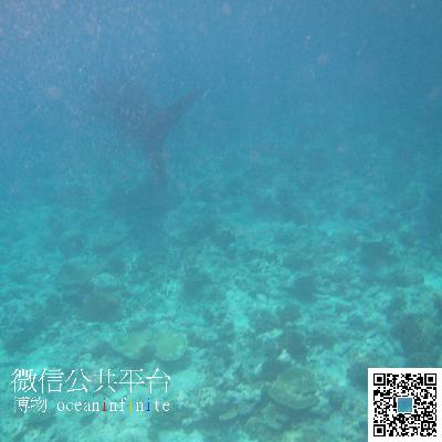 沈祖尧校长毕业典礼致辞——陈希献声.mp3 沈祖尧校长毕业典礼致辞——陈希献声.mp3