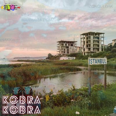 Kobra Gündem #174 – Sallandık Ama Yıkılmadık