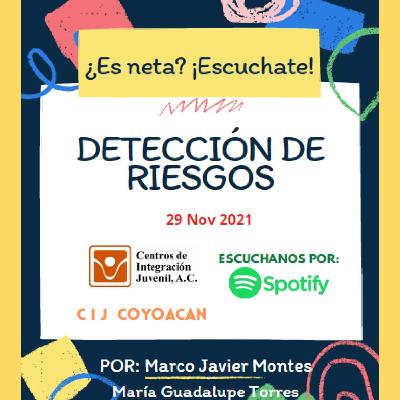 Detección de Riesgos
