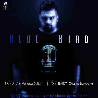 Blue Bird