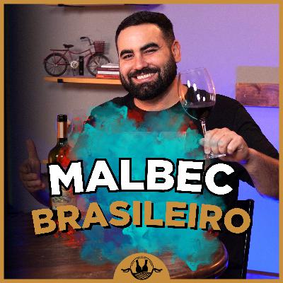 MALBEC BRASILEIRO da safra histórica de 2020 #176