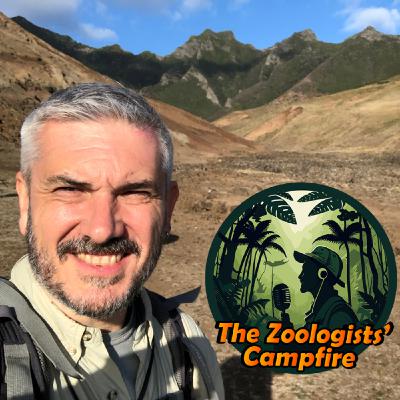Miquel Arnedo on hiding hippos, rolling stones, and the culture of isolated islands