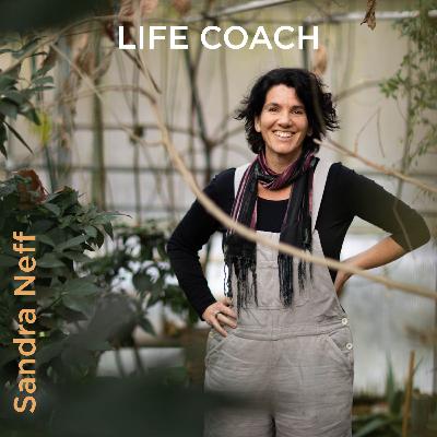 Meditation - Die Macht und Kraft des Atems